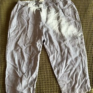 Eileen Fisher Light Gray/Blue Linen Shorts Size PL